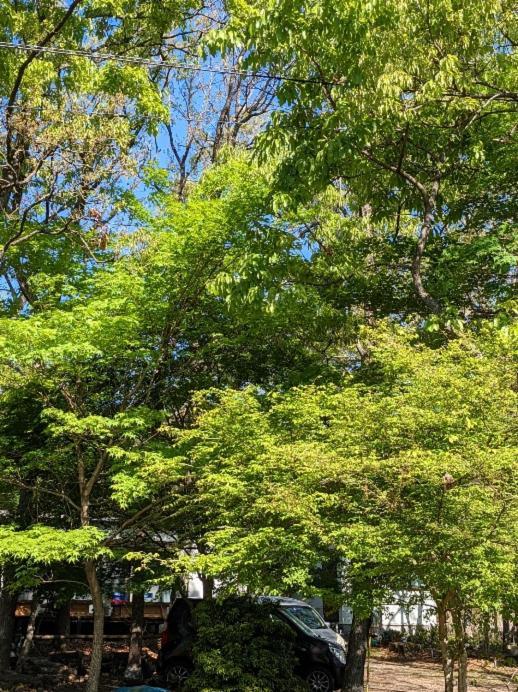 منزل الضيف يوفو  في Itsubinosato المظهر الخارجي الصورة